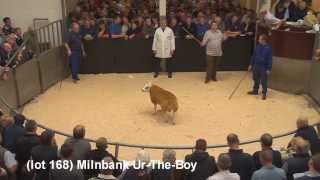 Scottish National Sale Lanark 2013 TOP SIX PRICES [upl. by Ecal121]