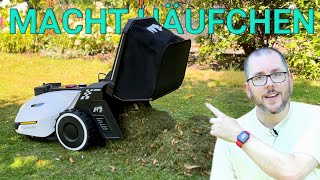 Mammotion Yuka  Test  Dieser Mähroboter ohne Begrenzungsdraht kann fast alles [upl. by Naujak61]