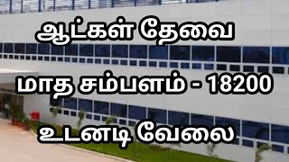 💥Salary  18200Chennai Job Vacancy 2024Chennai Jobs Today Openings In Tamil [upl. by Akilat409]