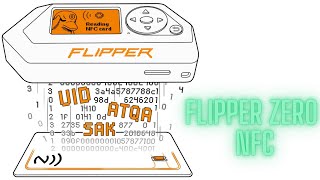 FLIPPER ZERO NFC [upl. by Einej]