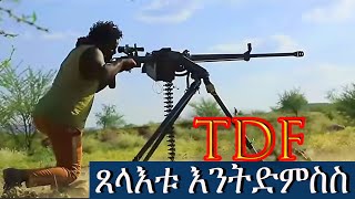 🛑 ጀጋኑ ተጋደልቲ TDF ፀላእቶም ቀጥ ቀጥ እንተብሉ 💪 tdf tigray tigraywar tigraynews tigraymusic [upl. by Weld279]