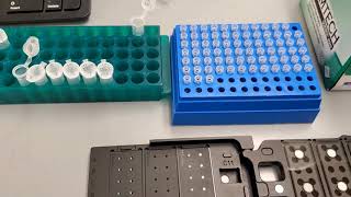 cDNA synthesis Tutorial [upl. by Ahrat]