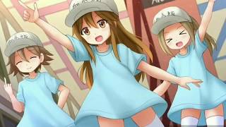 PLATELET amp MACROPHAGE  SENSEI ANONE lirik indonesia trombositchan [upl. by Cirded]