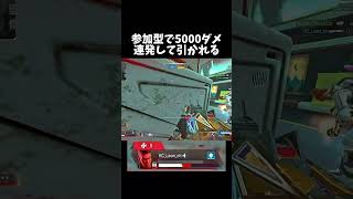 【人数不利でも5000ダメ出す】 apex apexlegends apex参加型 おすすめ [upl. by Trixie40]