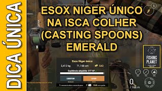 Fishing Planet  Esox Niger único na isca collher casting spoons Emerald 🎣 [upl. by Eeralav]