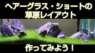 【チャーム】ヘアーグラス・ショート植え方 Eleocharis parvula水中草原レイアウト作ってみよう！ [upl. by Leonid]