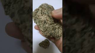 CONGLOMERADO DE ARENISCA APELMAZADO CON MINERALES DIVERSOS youtubeshorts Geologia [upl. by Nakada]