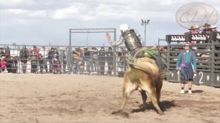 CLN 1534 AkChin Indian Community Masik Tas Bull Bash 2015 [upl. by Amalbena]