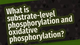 What is substratelevel phosphorylation and oxidative phosphorylation [upl. by Rozalin592]