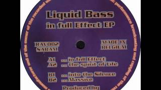 Liquid Bass  Into The Silence [upl. by Maxim]