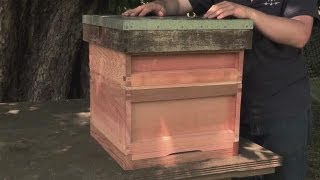 How to Make your Own Beehive [upl. by Mallis]