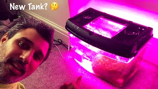 Tank Update 28  Treating Bryopsis Using Flux RX 😌 [upl. by Awahsoj]