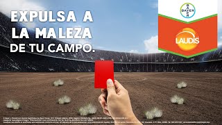 Expulsa a la maleza de tu campo con Laudis® [upl. by Felicity]