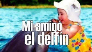 Canción para el Delfín  MI AMIGO EL DELFÍN  DANIEL DENIESSE [upl. by Mcgrody]