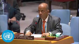 Sudan Withdrawal of Uniformed Personnel at Peacekeeping Mission UNAMID  Security Council Briefing [upl. by Eimmat]