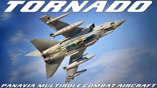 Tornado The Mach 22 Combat Aircraft by Panavia [upl. by Efinnej]