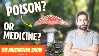 Unlocking The Secrets Of The Worlds Most Iconic Mushroom Amanita Muscaria The Mushroom Show EP 6 [upl. by Cohlier]