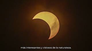 Recomendaciones de seguridad eclipse solar del 8 de abril de 2024 [upl. by Naimed]