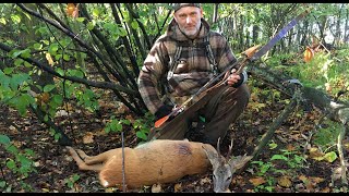 Roebuck with a recurve october 7th 2018 [upl. by Nnylacissej]