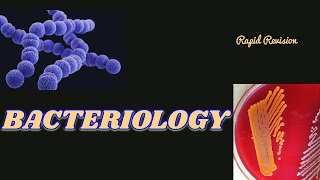 Bacteriology Microbiology  Rapid Revision Oneshot Bacteria neet mbbs study [upl. by Ancilin335]