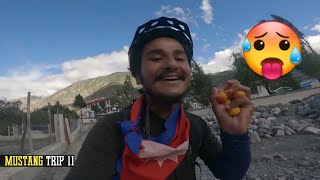 Jomsom to Kagbeni  Last Episode  Mustang Trip Ep 11 🇳🇵 [upl. by Htebaile]