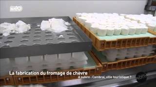 La fabrication du fromage de chèvre [upl. by Etnod]