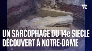 Un sarcophage en plomb du XIVe siècle a été découvert sous la nef de NotreDame de Paris [upl. by Etak714]