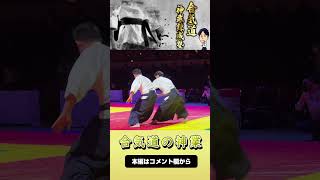 Dynamic and Beautiful techniques of Modern Aikido Master [upl. by Lleroj705]