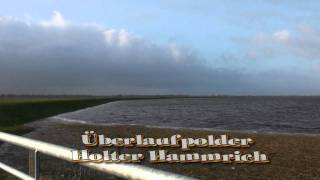 Land unter Überlaufpolder im LedaJümme Gebiet überflutet [upl. by Eustazio172]