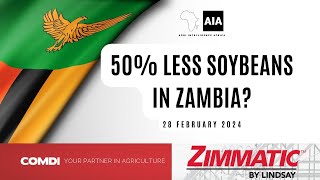 Zambian soybean production can halve  28 Feb 2024 [upl. by Ahsasal]