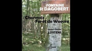 Charmois  la fontaine SaintDagobert II dans la forêt de Woevre [upl. by Sobel]