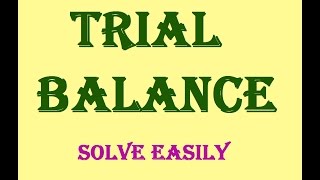 Preparing Trial Balance Or Adjusted Trial Balance [upl. by Annice]