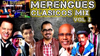 MIX MERENGUES CLASICOS BAILABLES DE LOS 80 Y 90 VOL 2 DJ BIGGIE [upl. by Herzel556]