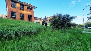 Renters REFUSED To Mow The Lawn Of Their MULTI MILLION Dollar Rental Property [upl. by Hound173]