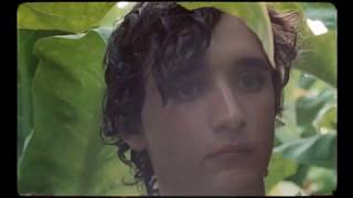 Lazzaro felice  Trailer  IFFR 2019 [upl. by Eibo793]