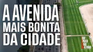 A AVENIDA MAIS BONITA DA CIDADE  Arquitetura verde galerias atividades e moradores diversos [upl. by Rhines32]