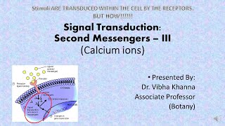 Calcium ions as Second Messengers in Signal Transduction By Dr Vibha Khanna [upl. by Tik649]