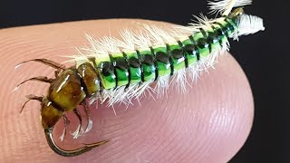 Fly Tying a Caddis Larva [upl. by Nabroc]