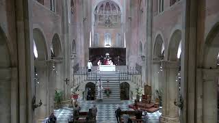 Live streaming di Cattedrale di San Donnino Fidenza [upl. by Zirtaeb]