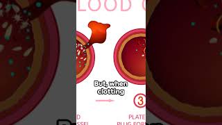 Decoding Clotting Understanding Your Blood Clotting Test Resultsquot [upl. by Higginbotham194]