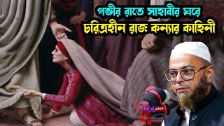 যুবক সাহাবী ও বিশ্ব সুন্দরীর কাহিনী  nasir uddin Ansari new waz  নাসির উদ্দিন আনসারী  amintv24 [upl. by Yelhak899]