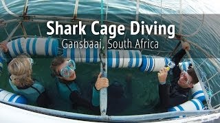 Shark Cage Diving  Gansbaai South Africa [upl. by Wendye]