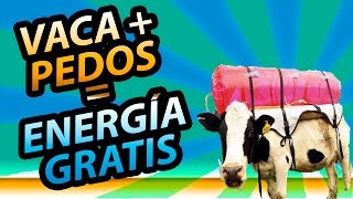 VACA  PEDETES  ELECTRICIDAD GRATIS [upl. by Nagirrek]