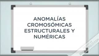 Anomalías Cromosómicas [upl. by Ayotac]