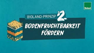 BiolandPrinzip 2 Bodenfruchtbarkeit fördern für organischbiologischen Landbau [upl. by Enineg]