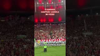 É CAMPEÃO TORCIDA DO FLAMENGO SOLTA O GRITO APÓS O APITO FINAL DO CARIOCA FLA CAMPEÃO flamengo [upl. by Assilanna]