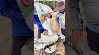 Fertilizer drones and tree climbing machines।😱shortvideo amazingsfacts [upl. by Banky88]