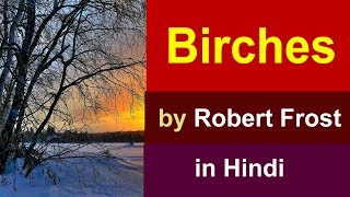 Birches by Robert Frost in Hindi  summary Explanation and full analysis [upl. by Acired]