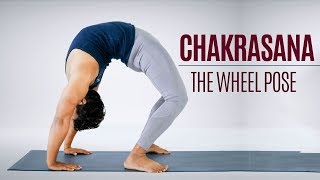 How to do Chakrasana Wheel Pose  Yoga  Standing Postures  Yoga For Thyroid [upl. by Nedi]