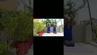 சசங்காசனம் shorts sasangasana ajnachakra agnachakra thirdeyechakra chakras asana yogavazhvu [upl. by Akinoj907]